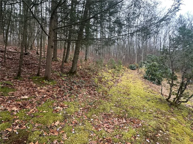 $80,000 | 56 Ouaquaga Road, Colesville, NY 13904