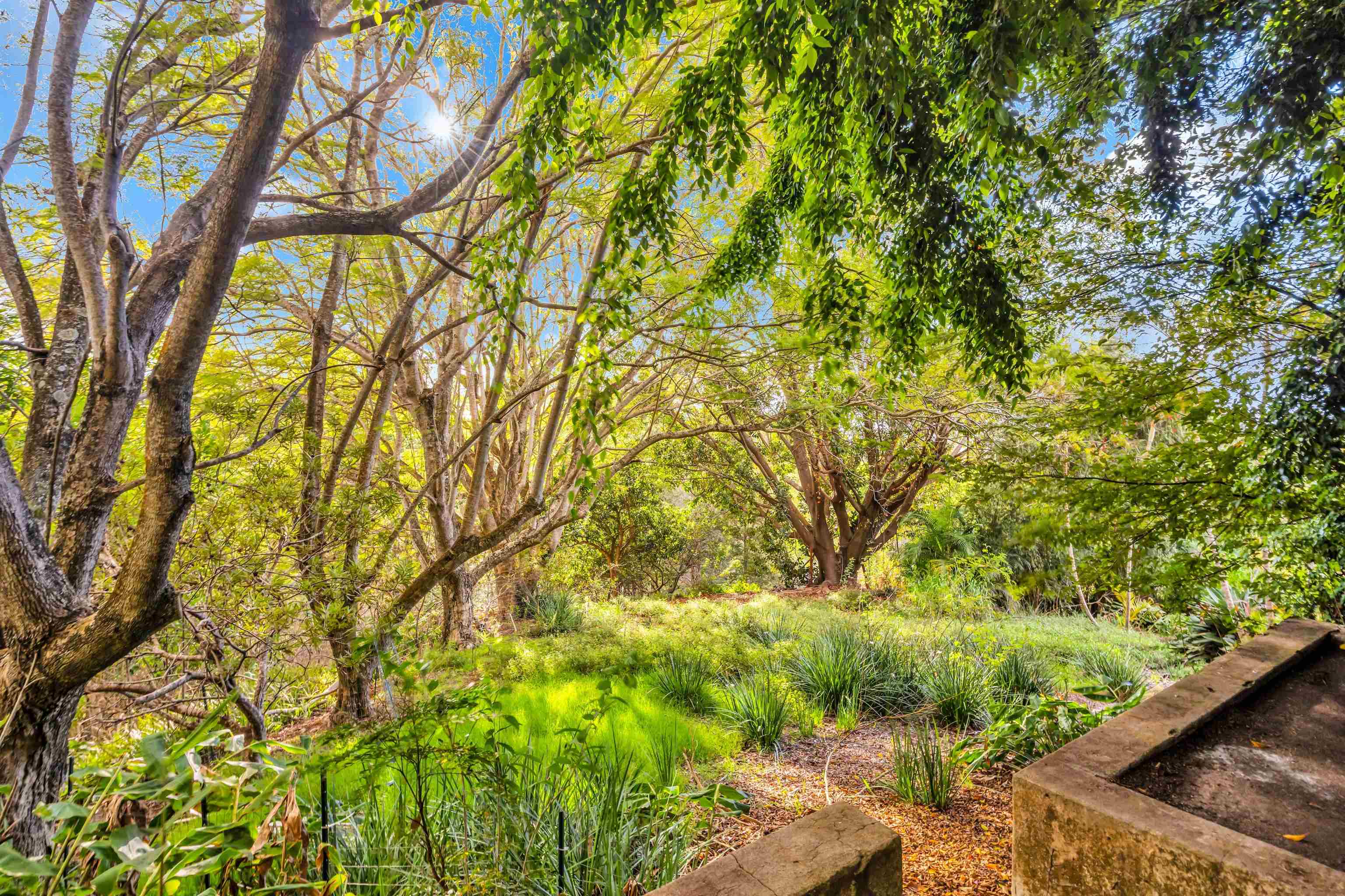 1854 Olinda Road Makawao, HI 96768 - Photo 24 of 26 a view of a yard