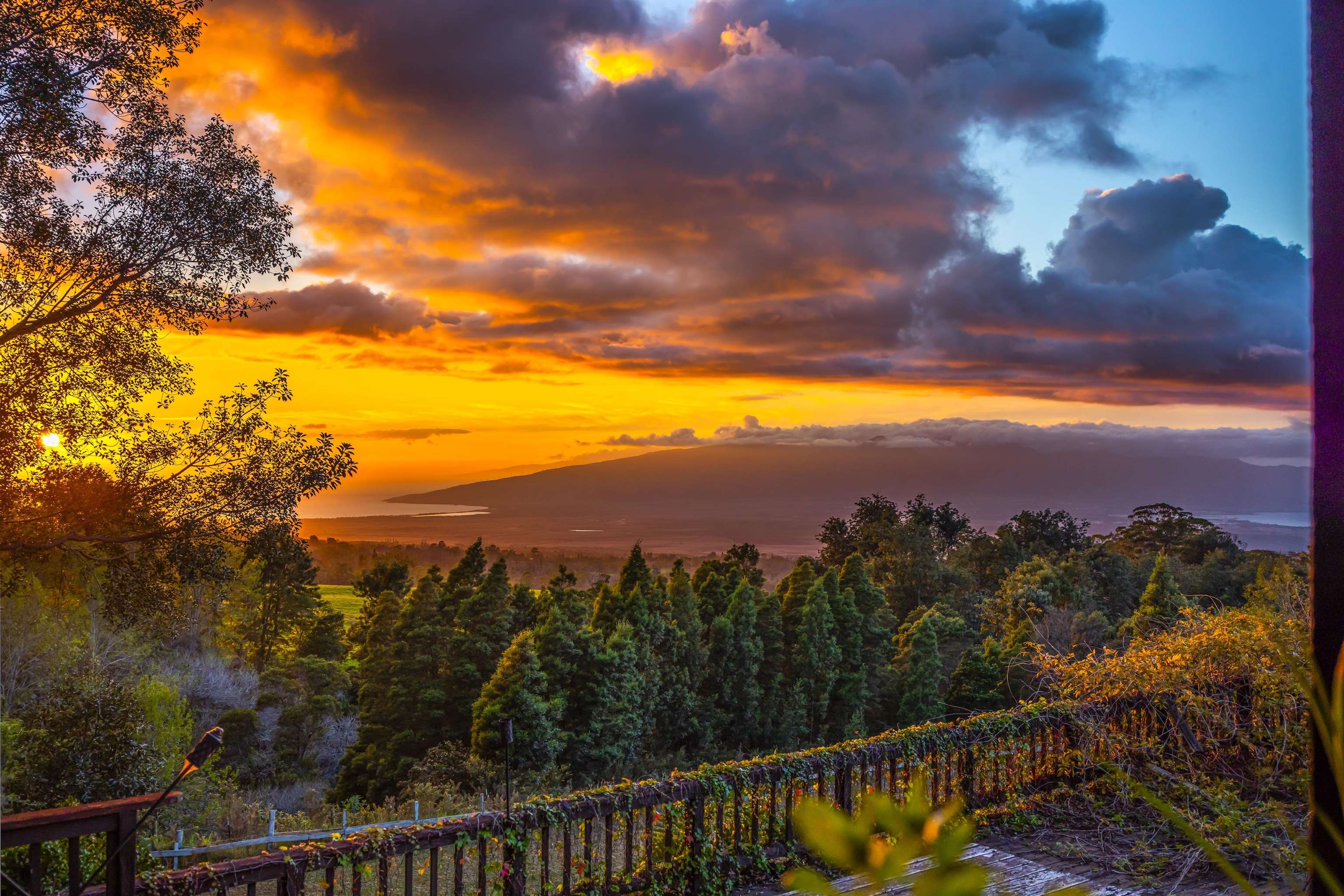 1854 Olinda Road Makawao, HI 96768 - Photo 3 of 26 a view of a city with lush green forest