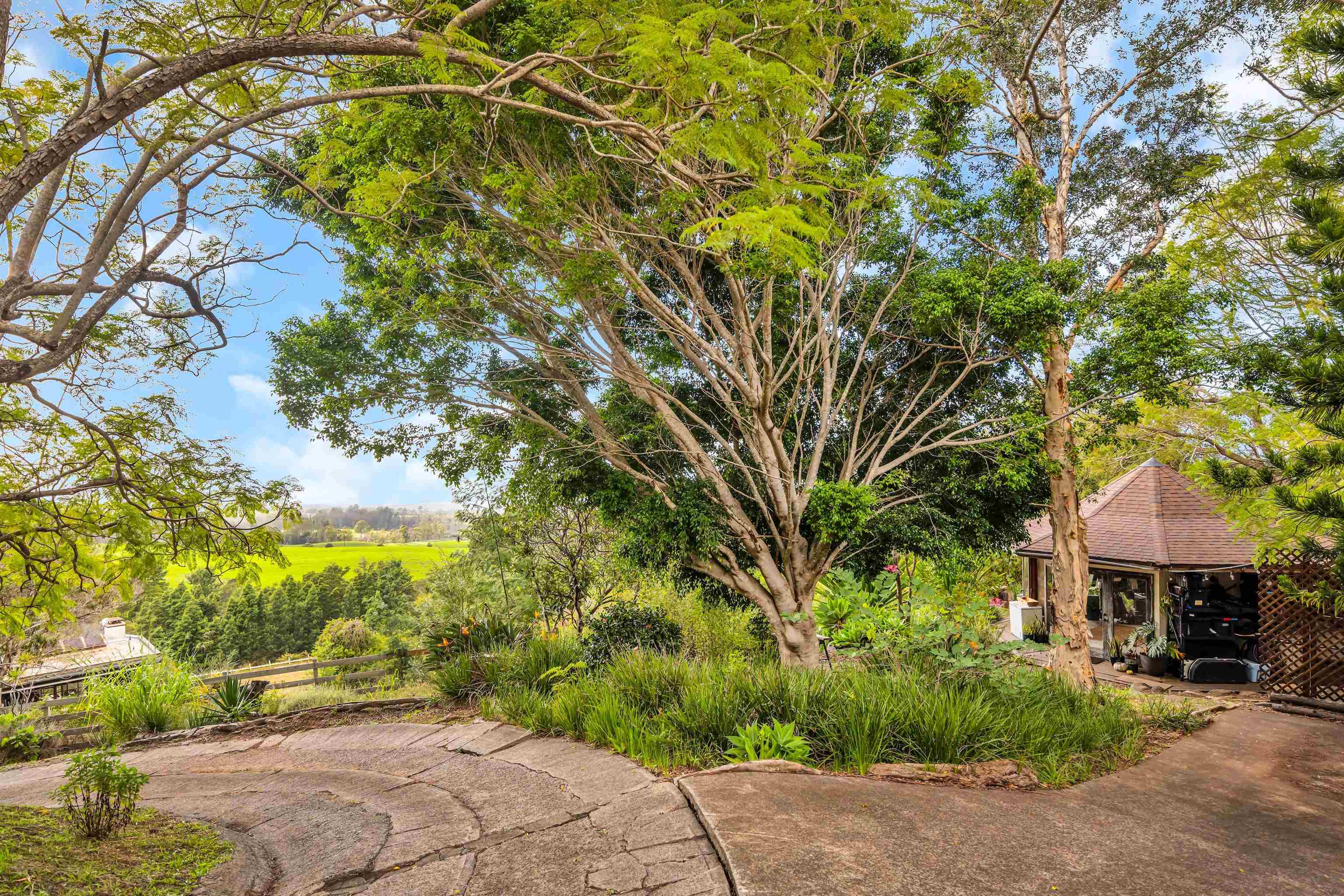 1854 Olinda Road Makawao, HI 96768 - Photo 6 of 26 a front view of a house with a yard and tree s