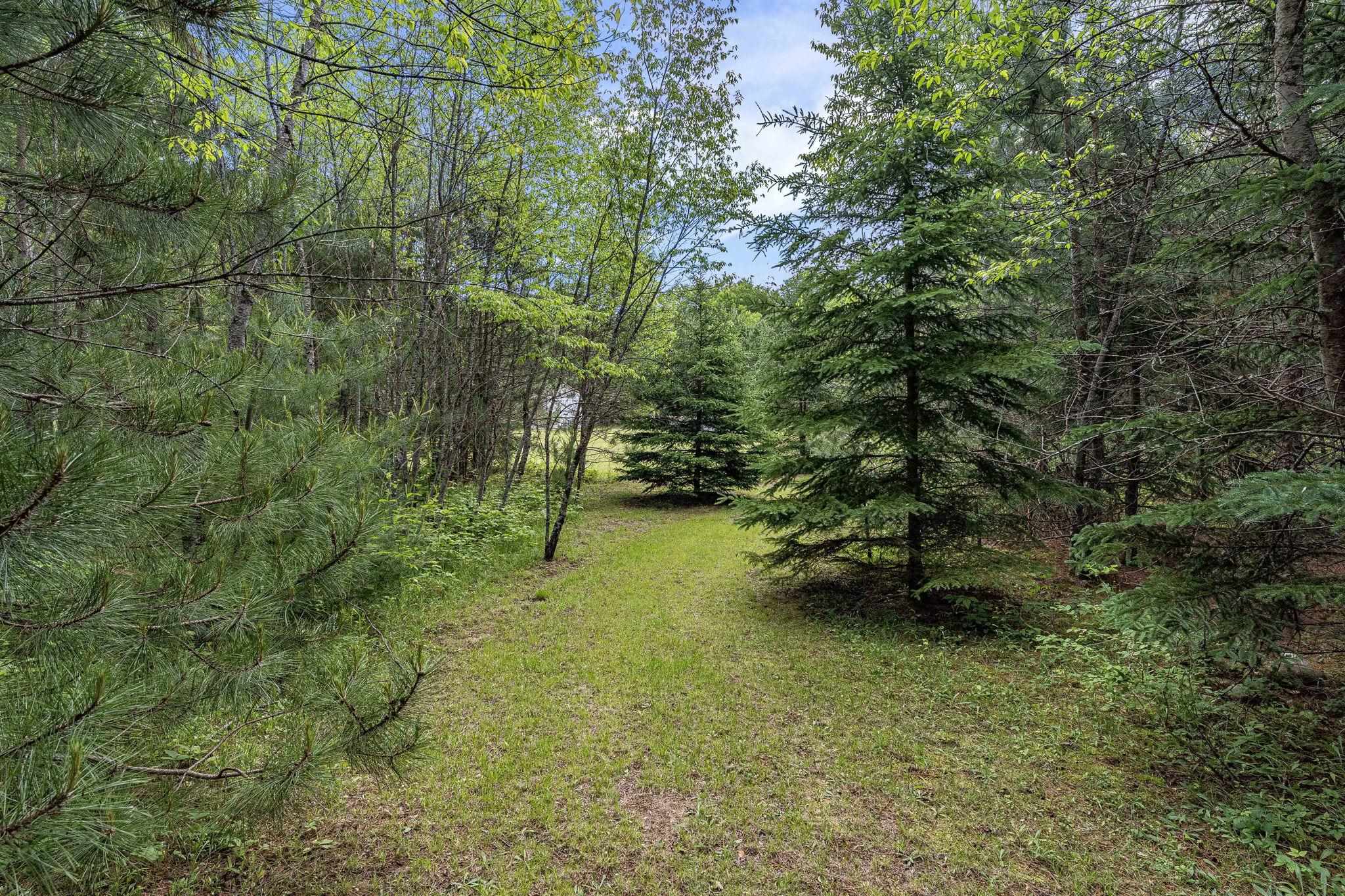 8767 Rustic Lane Southwest Fife Lake, MI 49633 - Photo 19 of 28