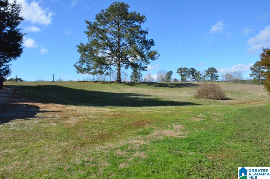 6477 Berney Station Road Talladega, AL 35160 - Photo 22 of 50