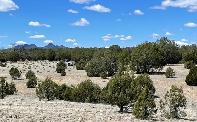 a view of a lake with a mountain in the background