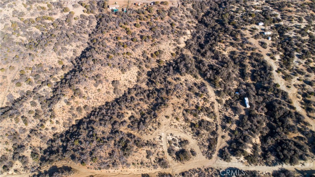128 Finchgrove Avenue Pearblossom, CA 93553 - Photo 4 of 6 a view of a tree