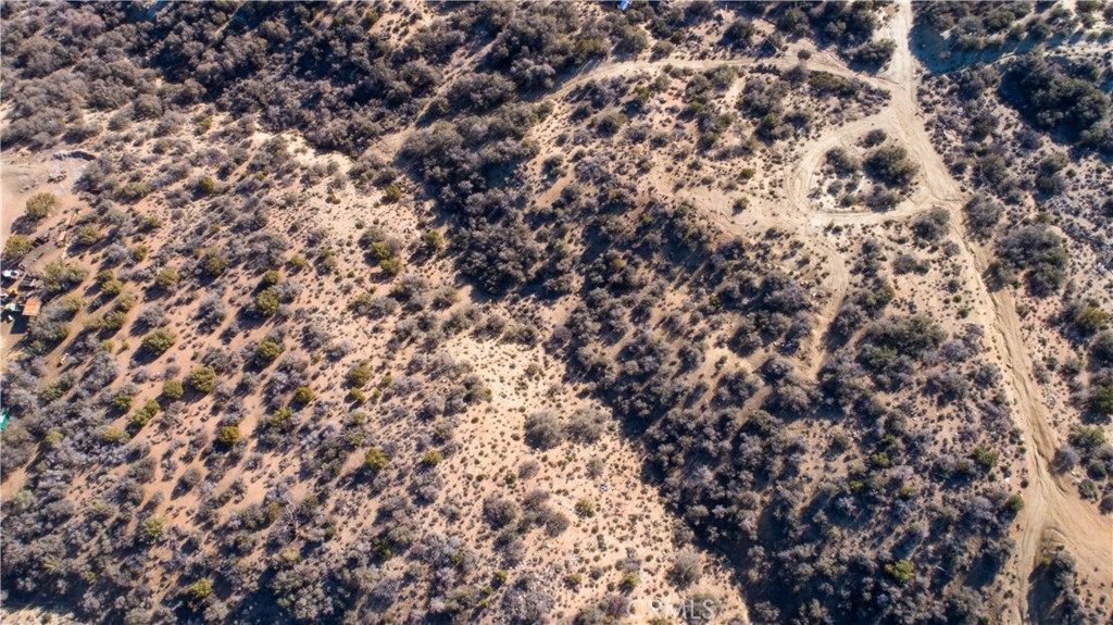 128 Finchgrove Avenue Pearblossom, CA 93553 - Photo 5 of 6 a view of a tree