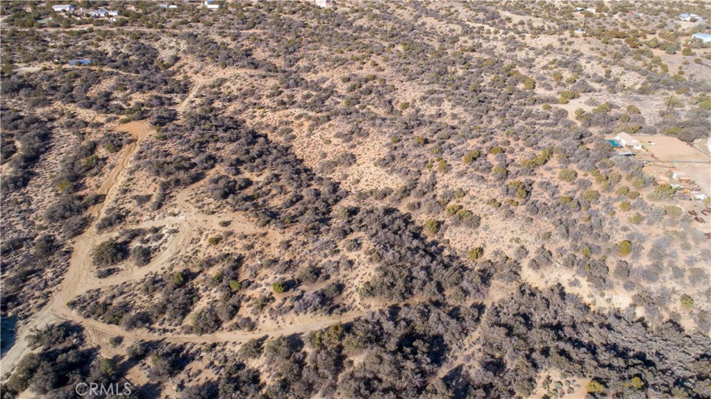 128 Finchgrove Avenue Pearblossom, CA 93553 - Photo 6 of 6 a close up of a plant