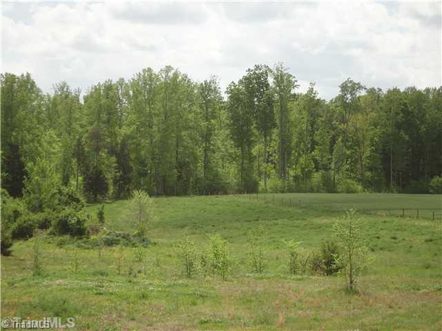 2185 South River Church Road Woodleaf, NC 27054 - Photo 9 of 15 View. What a "backyard"!