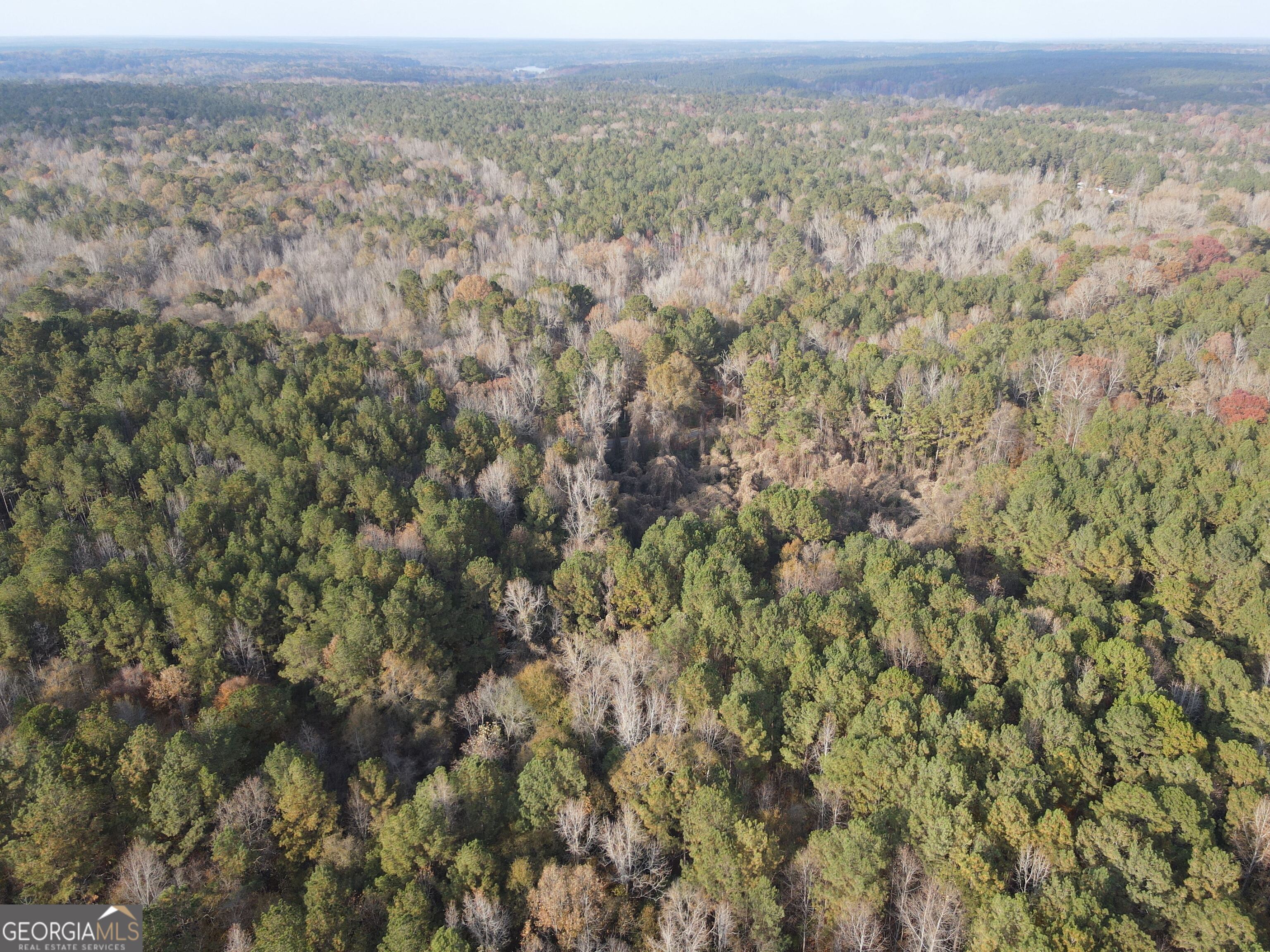 0 Oconee Road Buckhead, GA 30625 - Photo 6 of 16 a view of a city with lush green forest
