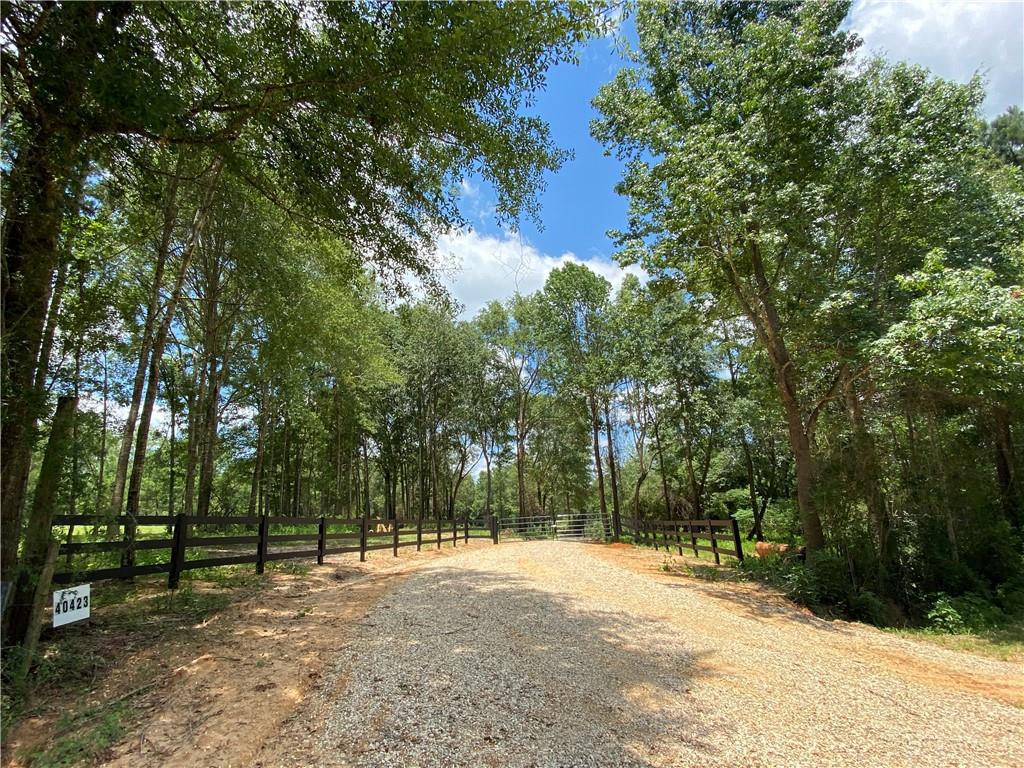 40423 Bennett Riley Road Mount Hermon, LA 70450 - Photo 1 of 39 Gallery Image 1