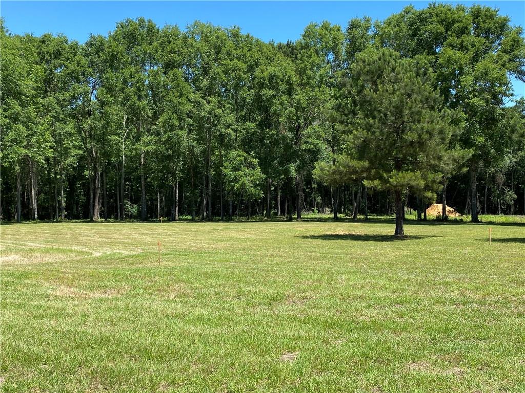 40423 Bennett Riley Road Mount Hermon, LA 70450 - Photo 11 of 39 Gallery Image 11