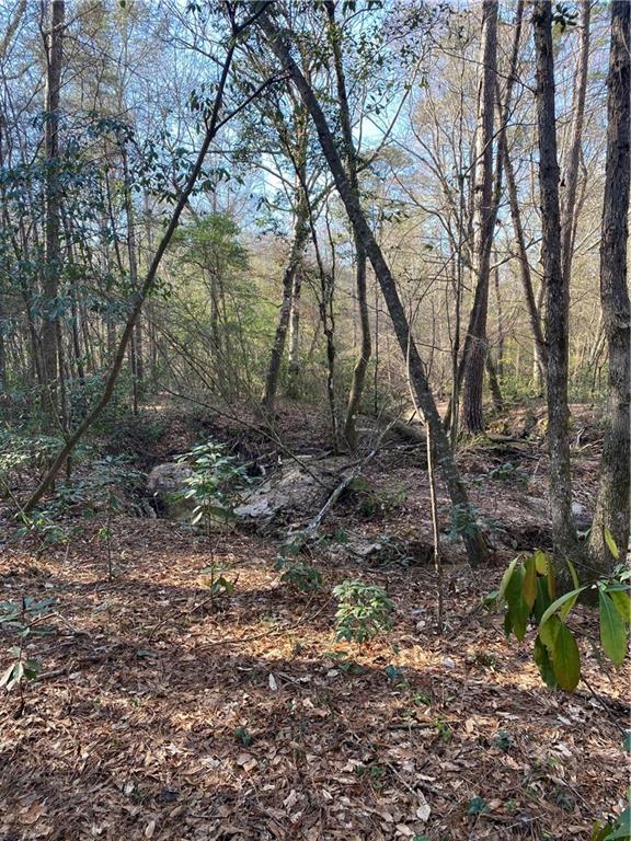 40423 Bennett Riley Road Mount Hermon, LA 70450 - Photo 16 of 39 Gallery Image 16
