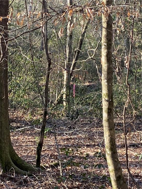 40423 Bennett Riley Road Mount Hermon, LA 70450 - Photo 18 of 39 Gallery Image 18