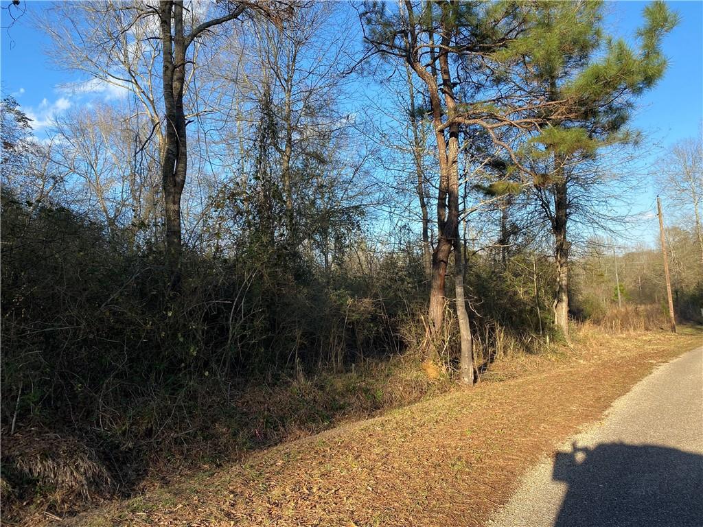 40423 Bennett Riley Road Mount Hermon, LA 70450 - Photo 19 of 39 Gallery Image 19