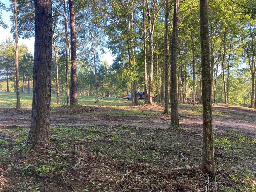 40423 Bennett Riley Road Mount Hermon, LA 70450 - Photo 20 of 39 Gallery Image 20