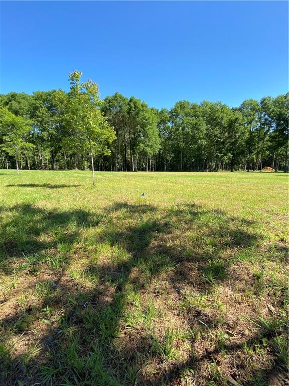40423 Bennett Riley Road Mount Hermon, LA 70450 - Photo 21 of 39 Gallery Image 21