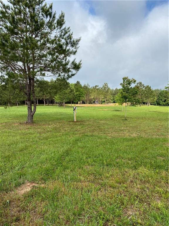 40423 Bennett Riley Road Mount Hermon, LA 70450 - Photo 22 of 39 Gallery Image 22