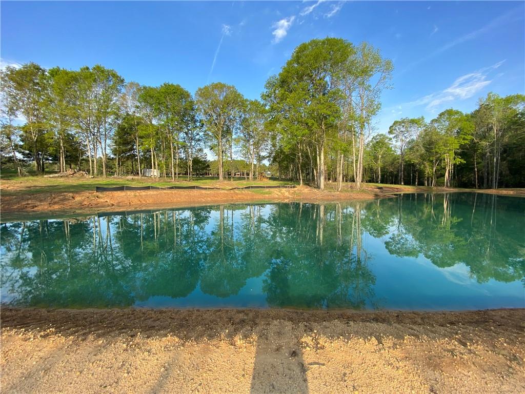 40423 Bennett Riley Road Mount Hermon, LA 70450 - Photo 23 of 39 Gallery Image 23