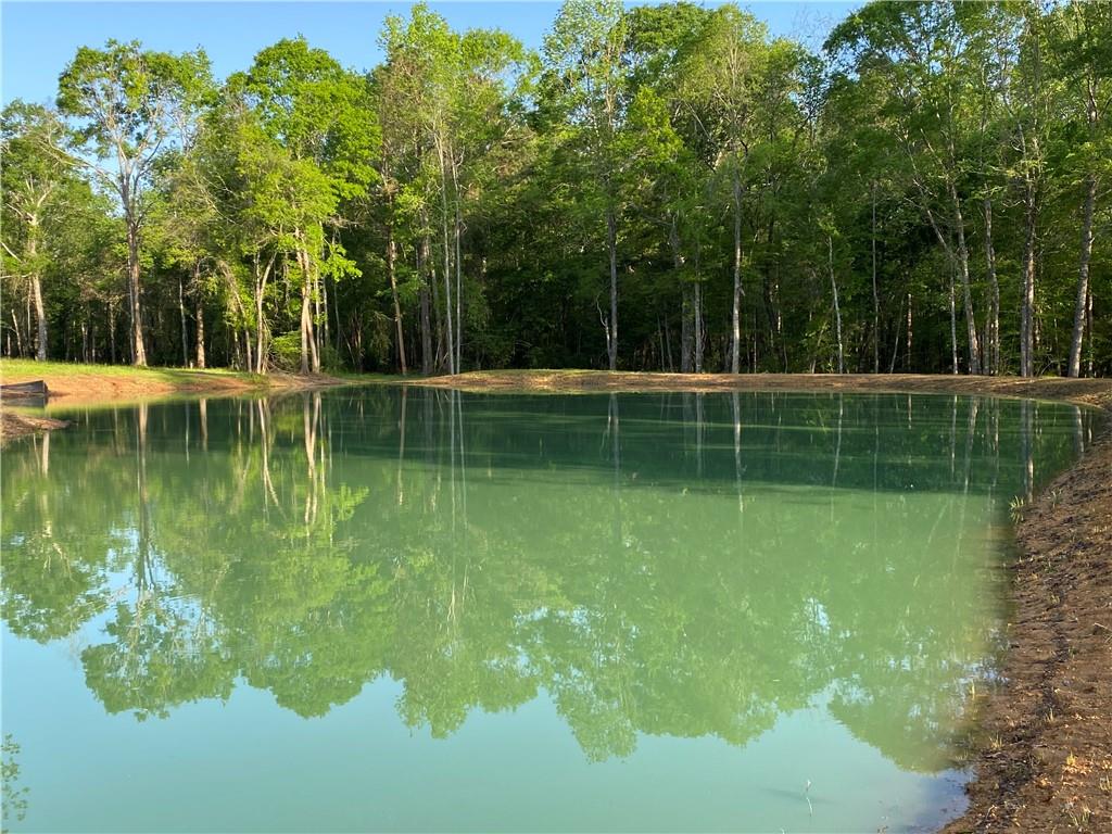 40423 Bennett Riley Road Mount Hermon, LA 70450 - Photo 24 of 39 Gallery Image 24