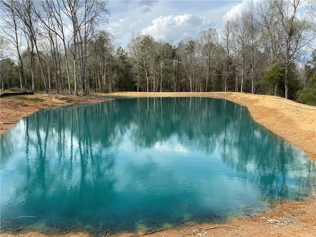 40423 Bennett Riley Road Mount Hermon, LA 70450 - Photo 25 of 39 Gallery Image 25