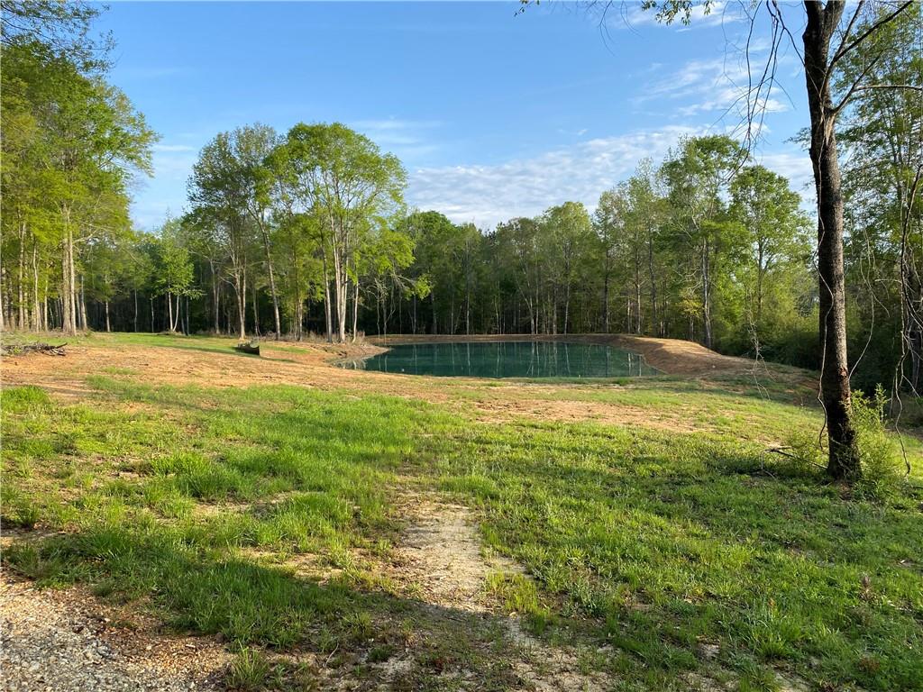 40423 Bennett Riley Road Mount Hermon, LA 70450 - Photo 26 of 39 Gallery Image 26