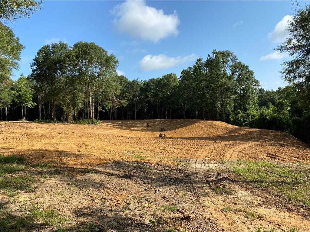 40423 Bennett Riley Road Mount Hermon, LA 70450 - Photo 27 of 39 Gallery Image 27
