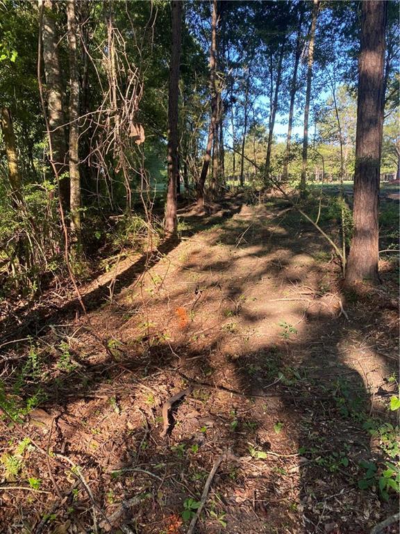 40423 Bennett Riley Road Mount Hermon, LA 70450 - Photo 3 of 39 Gallery Image 3