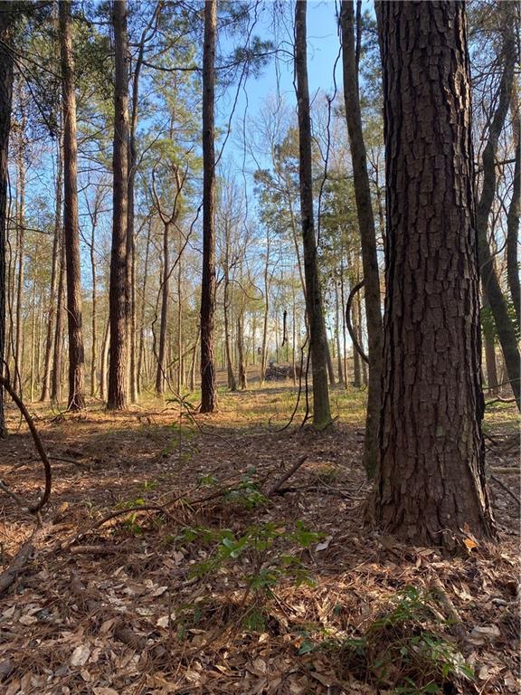 40423 Bennett Riley Road Mount Hermon, LA 70450 - Photo 35 of 39 Gallery Image 35