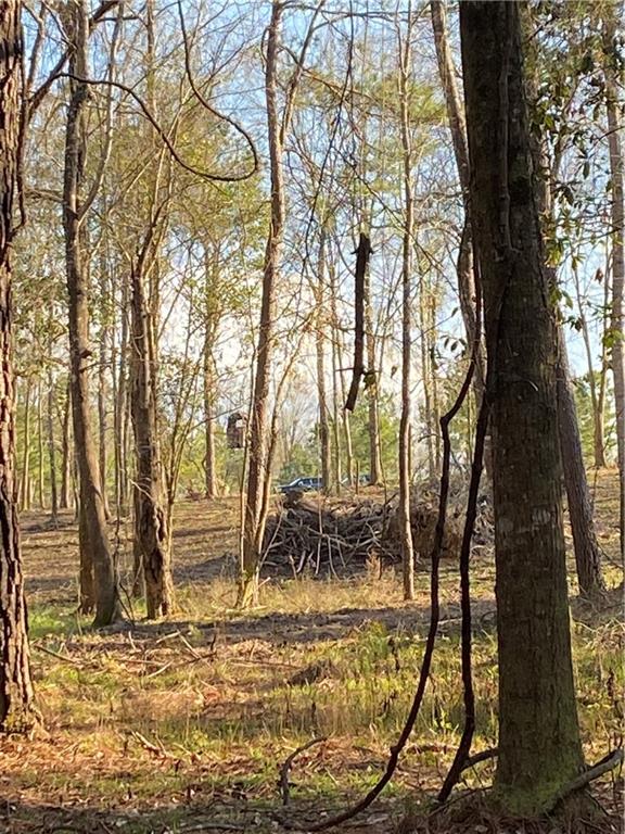 40423 Bennett Riley Road Mount Hermon, LA 70450 - Photo 36 of 39 Gallery Image 36