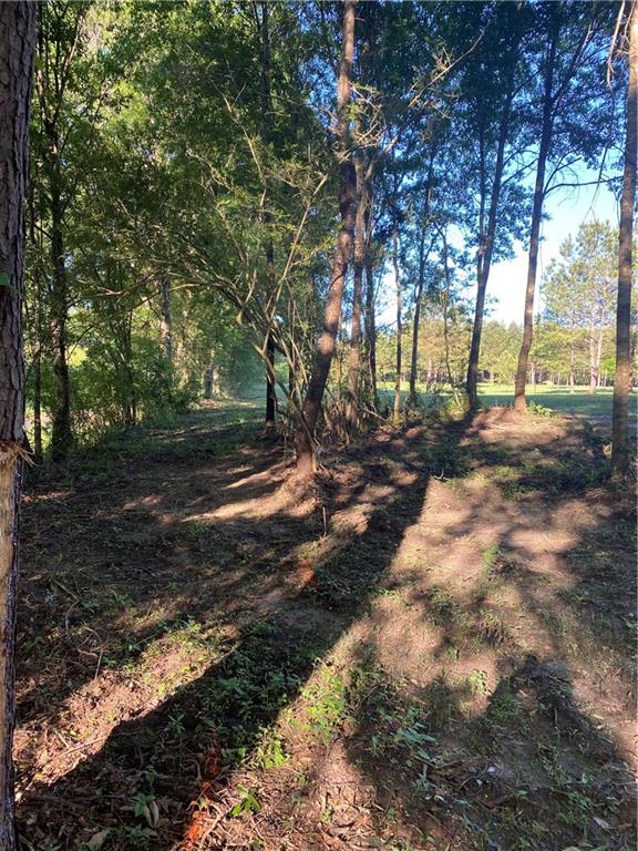 40423 Bennett Riley Road Mount Hermon, LA 70450 - Photo 4 of 39 Gallery Image 4