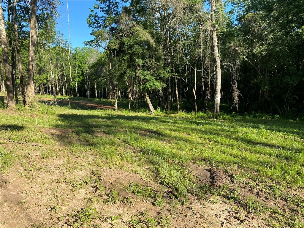 40423 Bennett Riley Road Mount Hermon, LA 70450 - Photo 6 of 39 Gallery Image 6