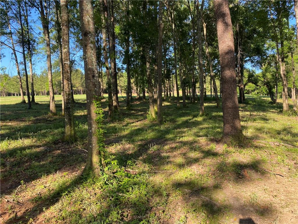 40423 Bennett Riley Road Mount Hermon, LA 70450 - Photo 8 of 39 Gallery Image 8
