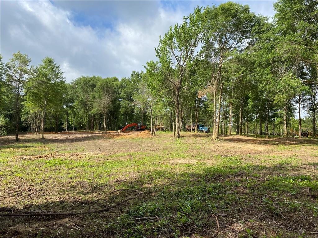 40423 Bennett Riley Road Mount Hermon, LA 70450 - Photo 9 of 39 Gallery Image 9