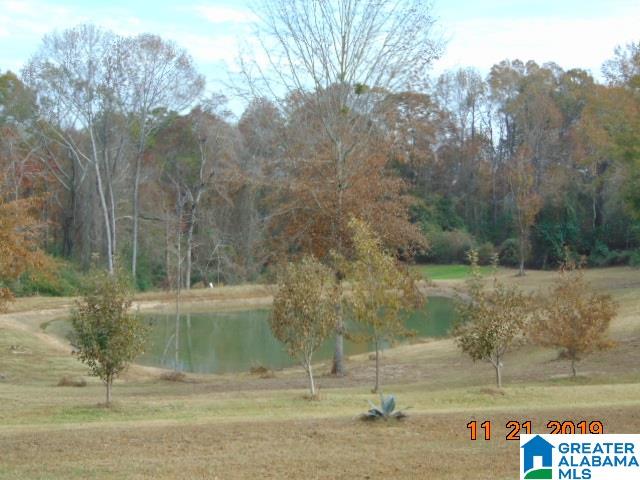 1675 County Road 59 Verbena, AL 36091 - Photo 6 of 25