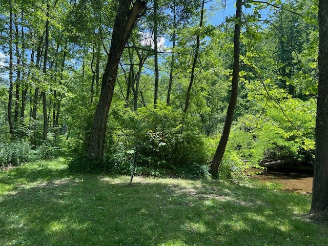 4643 Watkins Road Veteran, NY 14864 - Photo 2 of 22