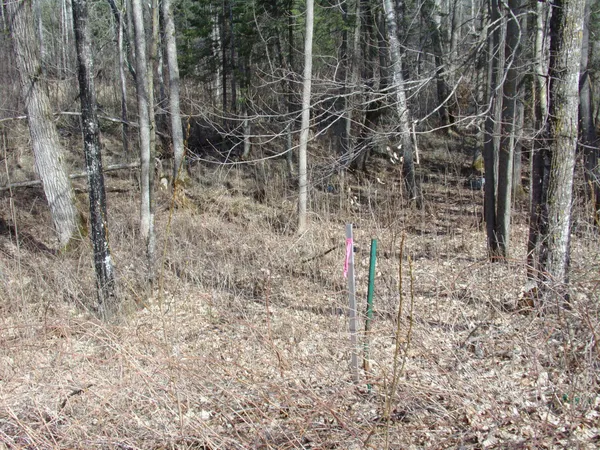 $169,900 | Tbd Goshawk Street, McGregor, MN 55760