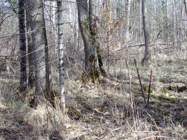 $169,900 | Tbd Goshawk Street, McGregor, MN 55760