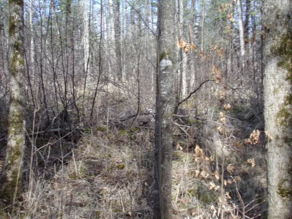 $169,900 | Tbd Goshawk Street, McGregor, MN 55760