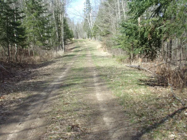 $169,900 | Tbd Goshawk Street, McGregor, MN 55760