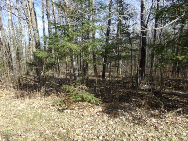 $169,900 | Tbd Goshawk Street, McGregor, MN 55760