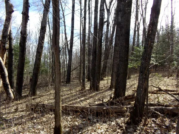 $169,900 | Tbd Goshawk Street, McGregor, MN 55760