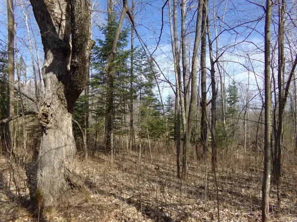 $169,900 | Tbd Goshawk Street, McGregor, MN 55760