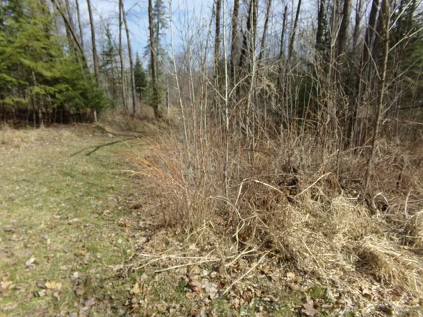 $169,900 | Tbd Goshawk Street, McGregor, MN 55760