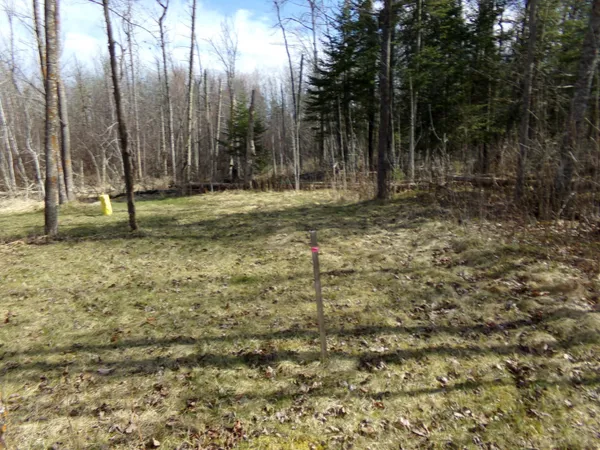 $169,900 | Tbd Goshawk Street, McGregor, MN 55760