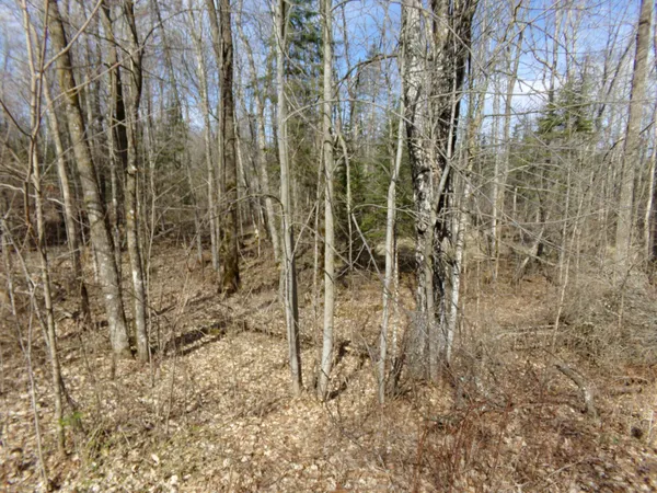 $169,900 | Tbd Goshawk Street, McGregor, MN 55760