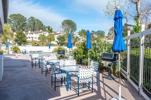 a view of a swimming pool with a patio and plants