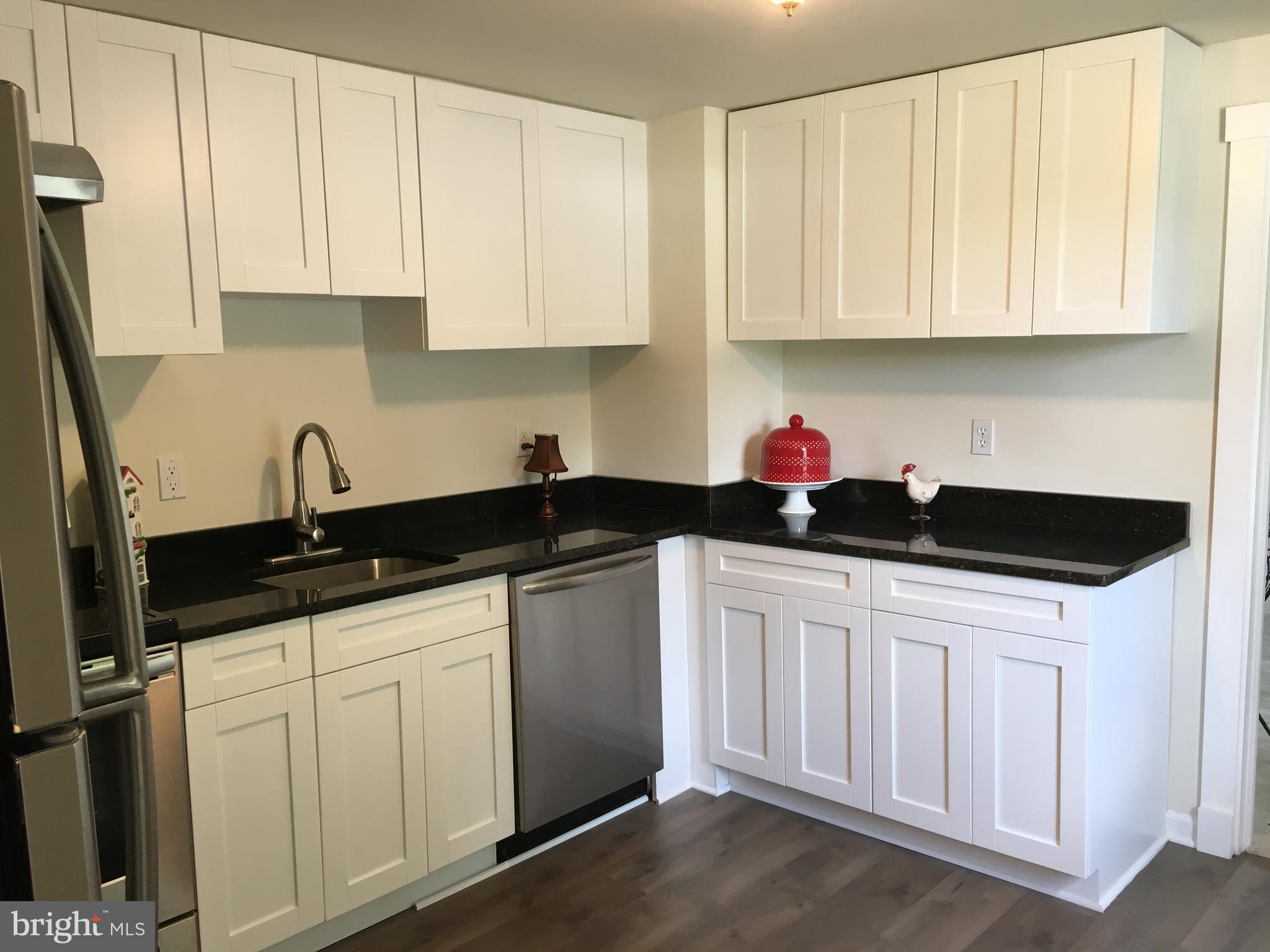 20625 Whites Ferry Road Poolesville, MD 20837 - Photo 6 of 38 Renovated Kitchen - Main House