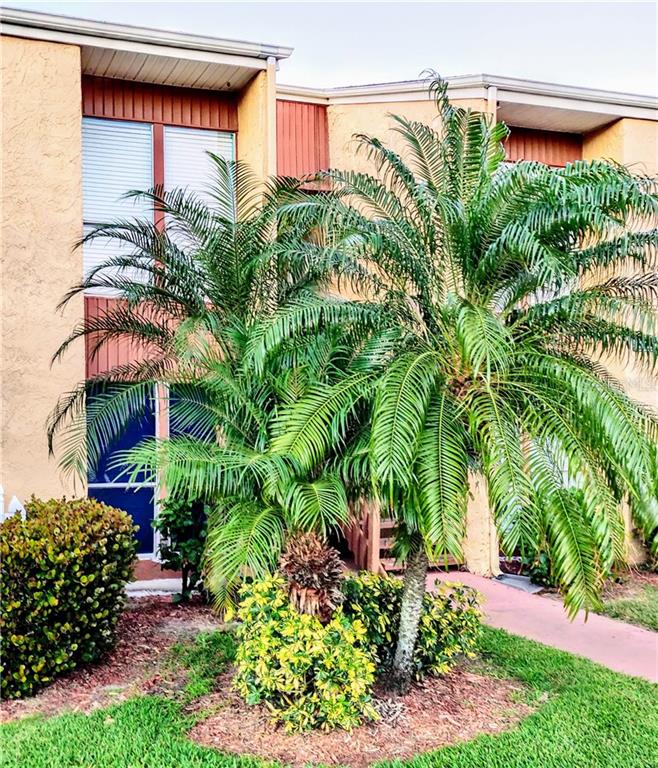 a plant is in front of a house