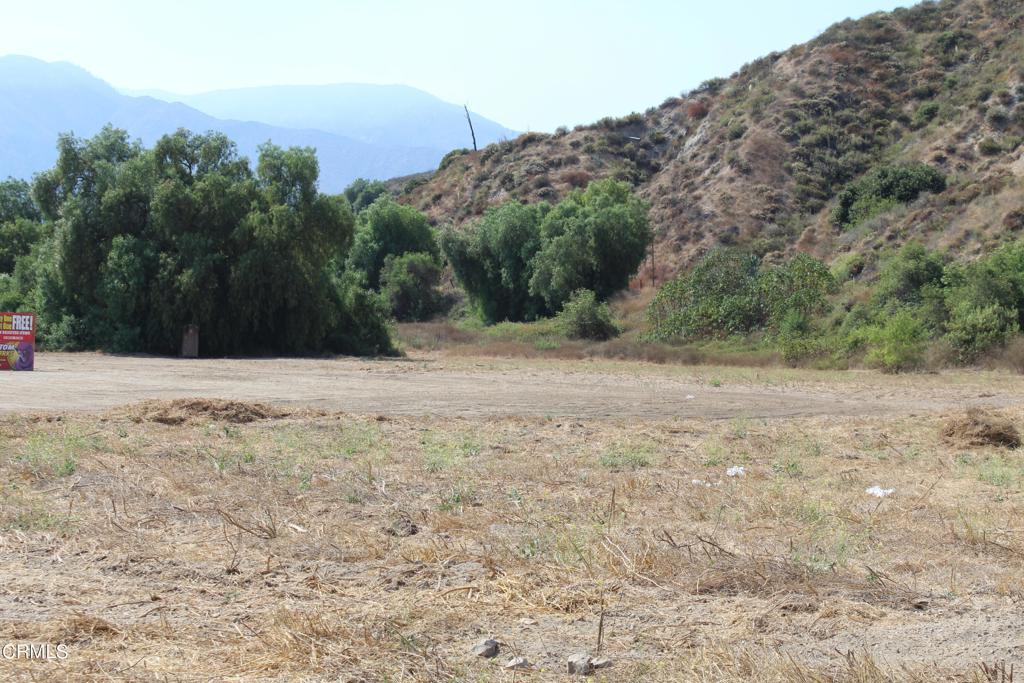 251 East Telegraph Road Fillmore, CA 93015 - Photo 2 of 27 a view of a yard with trees