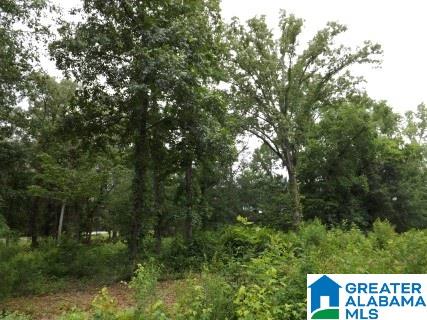 0 Perseverance Lane Odenville, AL 35120 - Photo 10 of 13