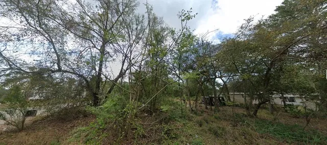 $59,000 | Morning View Drive, Paisley, FL 32767